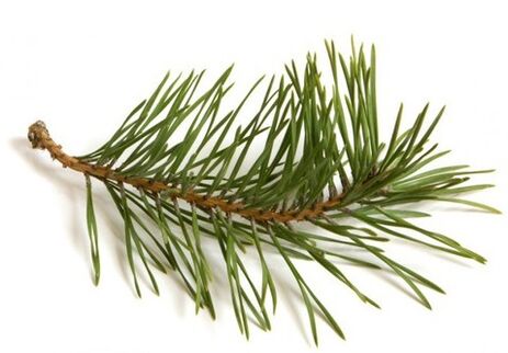 Exodermin includes a pine needle extractor